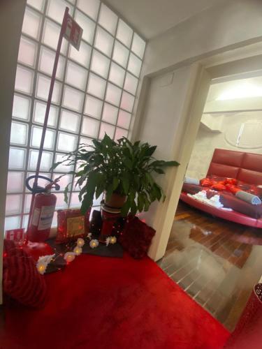 Ave Roma Suite - Tap to explore photos