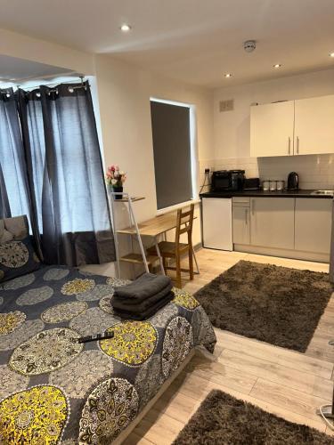 Modern studio flat in Romford