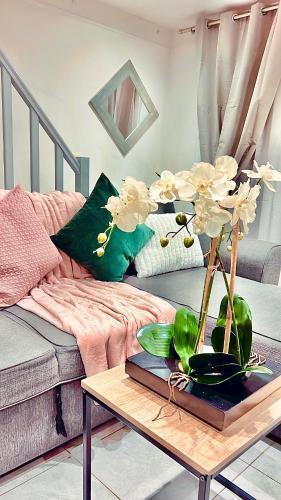 Fabulous apartment Air conditioned Nice Terrace 10 min from Paris Room Type - One-Bedroom Apartment