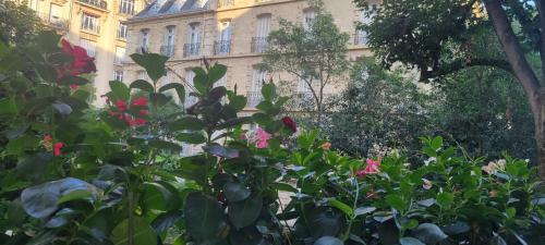 Paris chic Trocadero - Tap to explore photos