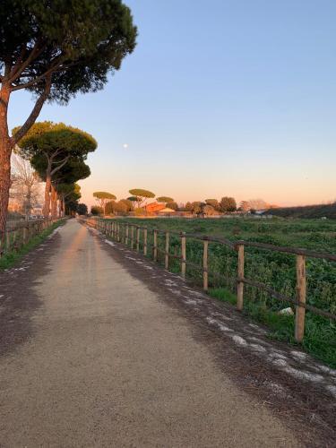 Lavi home Parco Leonardo - Tap to explore photos