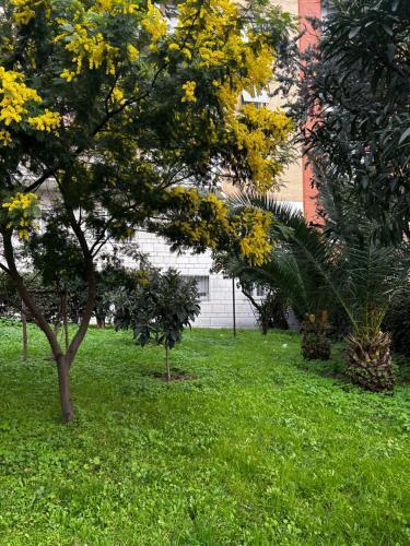 BAM BAM TIBURTINA Guesthouse - Tap to explore photos