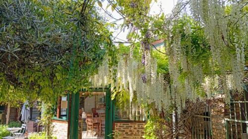 Peaceful Escale Chez l'Habitant A Few Stations from Paris Heart