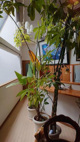 Setagaya-ku - House - Vacation STAY 17811 - Tap to explore photos