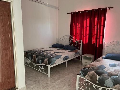 Safiyya Homestay - Tap to explore photos