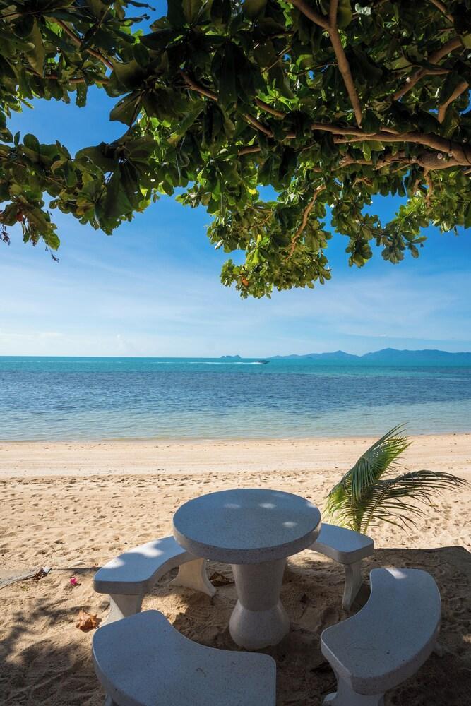 Dream Villa Beachfront Sunset Room Type - Deluxe Villa