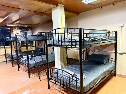 Chang Hostel Patong Phuket Room Type - Bunk Bed in Mixed Dormitory Room