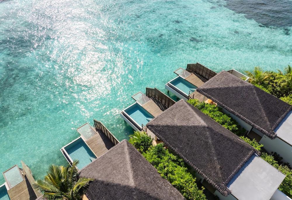 Dusit D2 Feydhoo Maldives Room Type - Villa, 1 King Bed (Waterfront Pool)