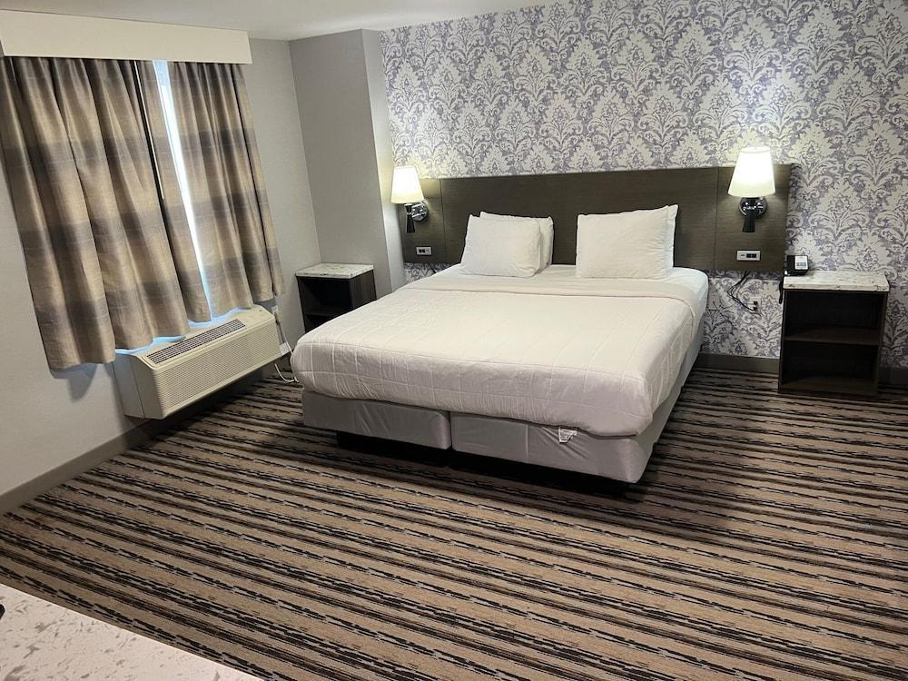 The Essence Hotel AT JFK Room Type - Single Room, 1 King Bed, Non Smoking, Private Bathroom The Essence Hotel AT JFK Room Type - Single Room, 1 King Bed, Non Smoking, Private Bathroom