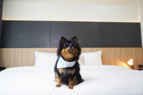 Seaside Naithon Phuket Room Type - Standard King Or Twin Room-Pet Friendly Seaside Naithon Phuket Room Type - Standard King Or Twin Room-Pet Friendly