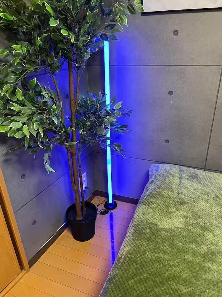 Amika First Room Type - 101