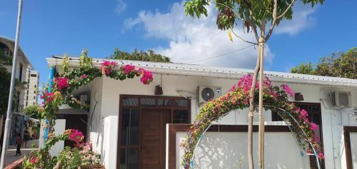 Luk inn at huraa - Tap to explore photos
