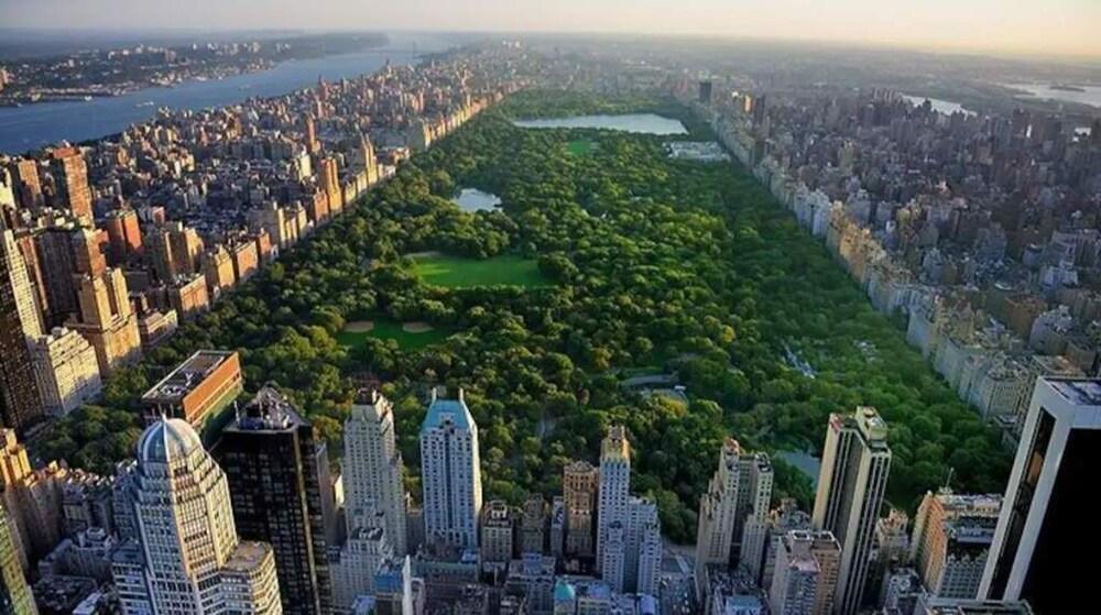 Spacious Elegant Oasis! Manhattan! 3 Bedrooms