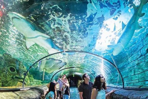 Steps to Mall & Train - Eplore with Ease - Prime Location in Seven Hills - Shared Bathroom - Tap to explore photos