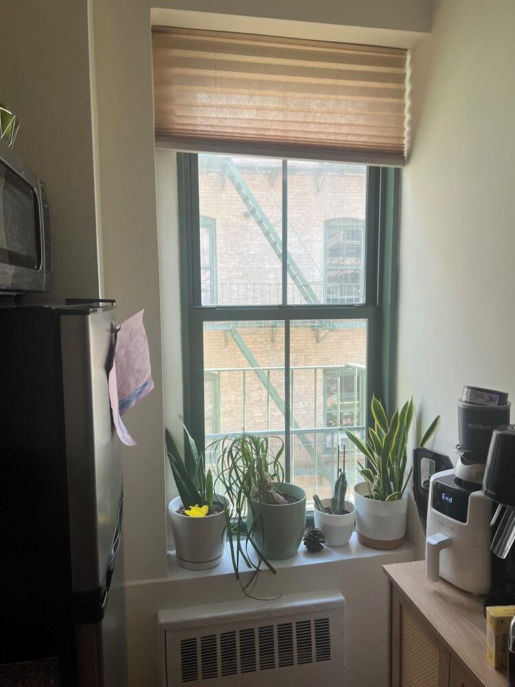 Cozy Core Studio in Concrete Jungle!