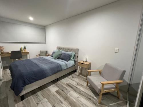 One bedroom Oasis in Strathfield - Tap to explore photos