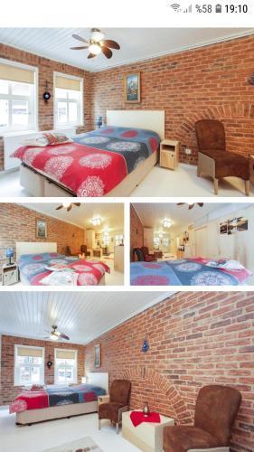 Newly renovated apartment-studio