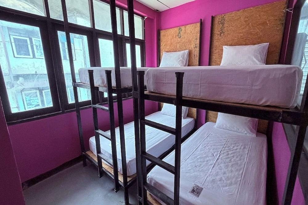 Pink Kraken Hostel Room Type - Shared Dormitory, Mixed Dorm