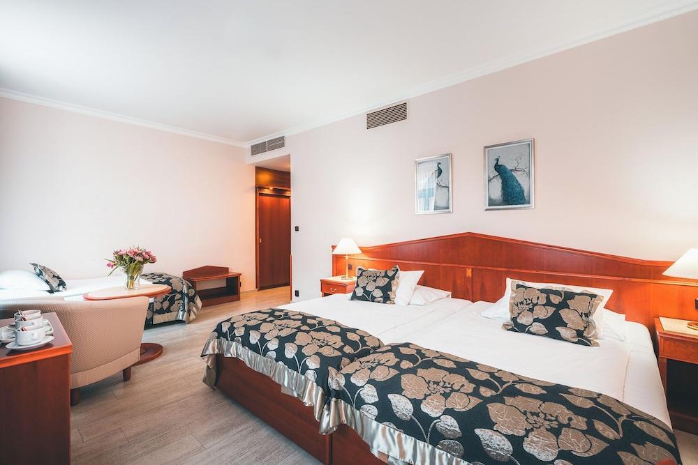 Hotel Carlton Room Type - Standard Triple Room