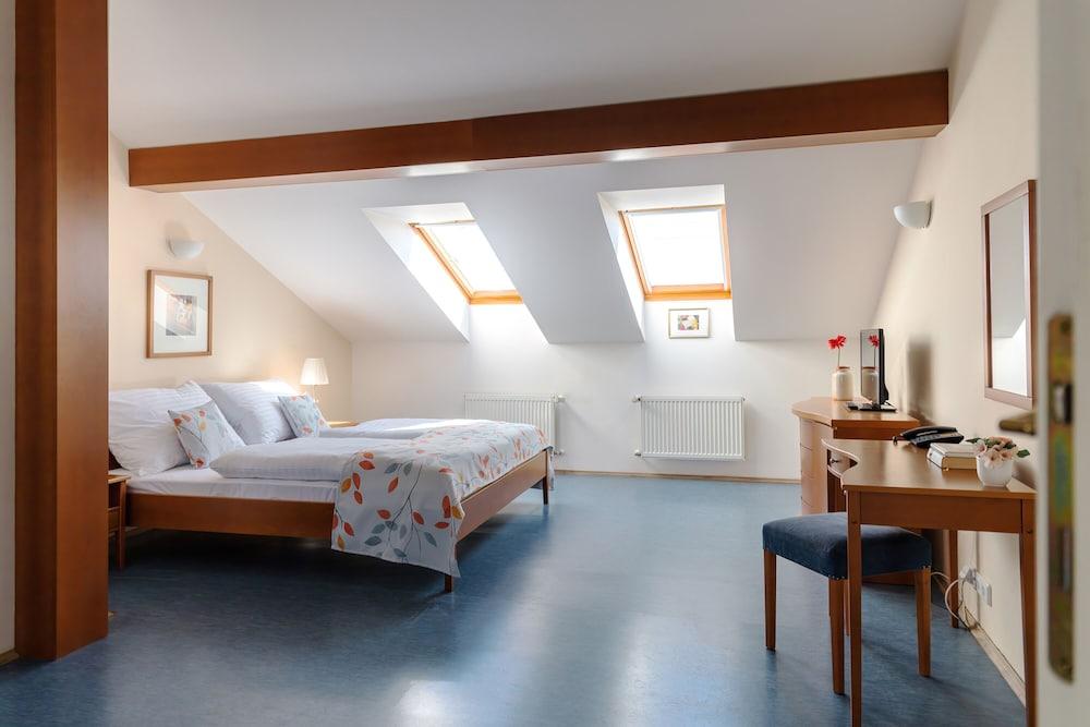 Sibelius Apartments Prague - Art Nouveau Residence 1902 Room Type - Standard Apartment, 1 Queen Bed, Non Smoking, City View