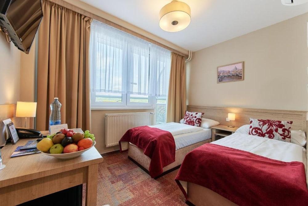 Wellness Hotel Step Room Type - Economy Double Room