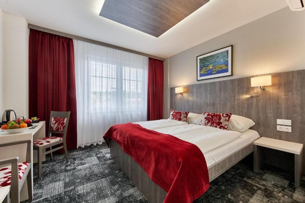 Wellness Hotel Step Room Type - Deluxe Double Room