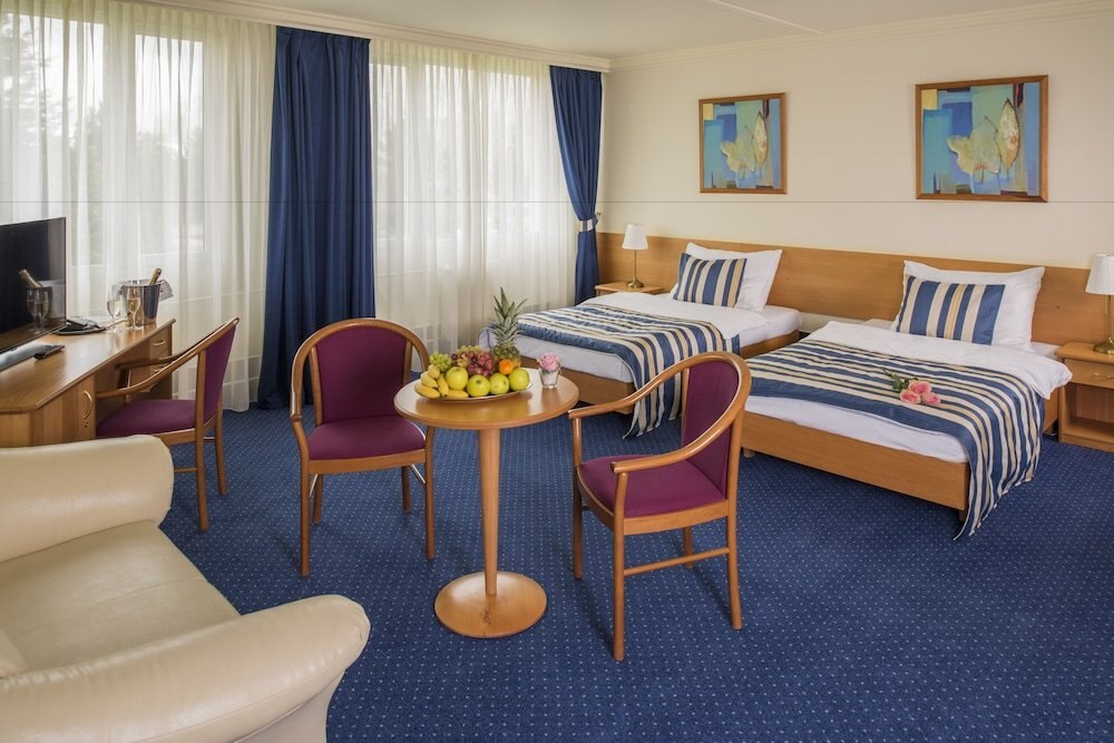 TOP HOTEL Praha & Conference Centre Room Type - Superior Room