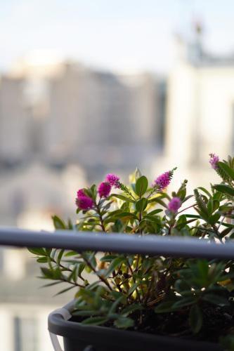 Best Western Hotel Le Montmartre Saint Pierre - Tap to explore photos
