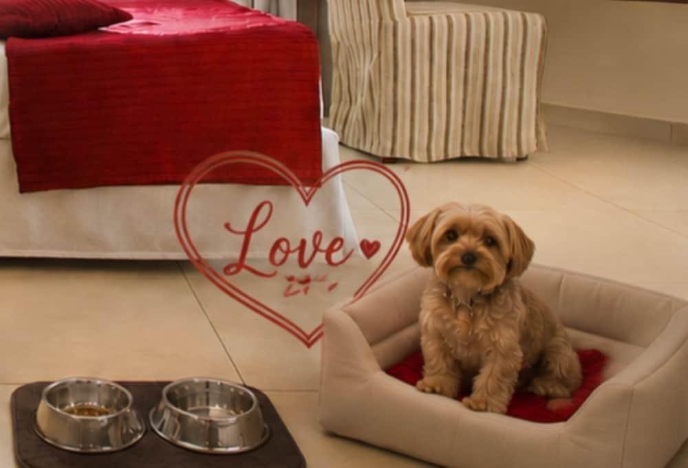 Cardinal Hotel St. Peter Room Type - Classic Double or Twin Room (PET Friendly)