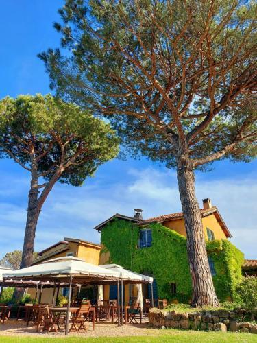 Hotel Selva Candida - Tap to explore photos