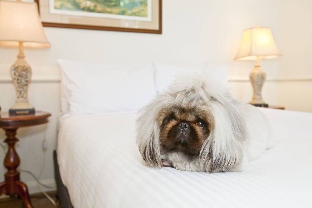 The Hughenden Boutique Hotel - Tap to explore photos