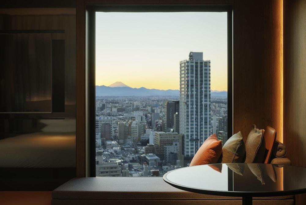 Hyatt Regency Tokyo Room Type - Studio, 1 King Bed, Park View