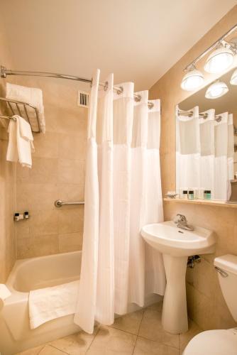 Hotel Beacon Room Type - King Studio