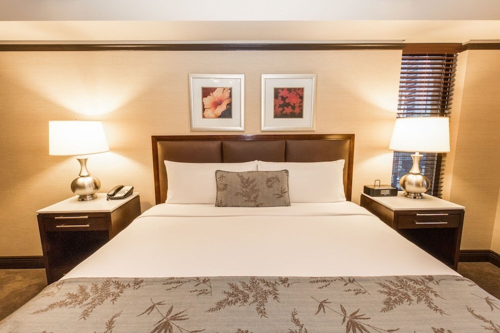 The Belvedere Hotel Room Type - Deluxe Room, 1 King Bed