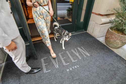 The Evelyn Hotel - Tap to explore photos