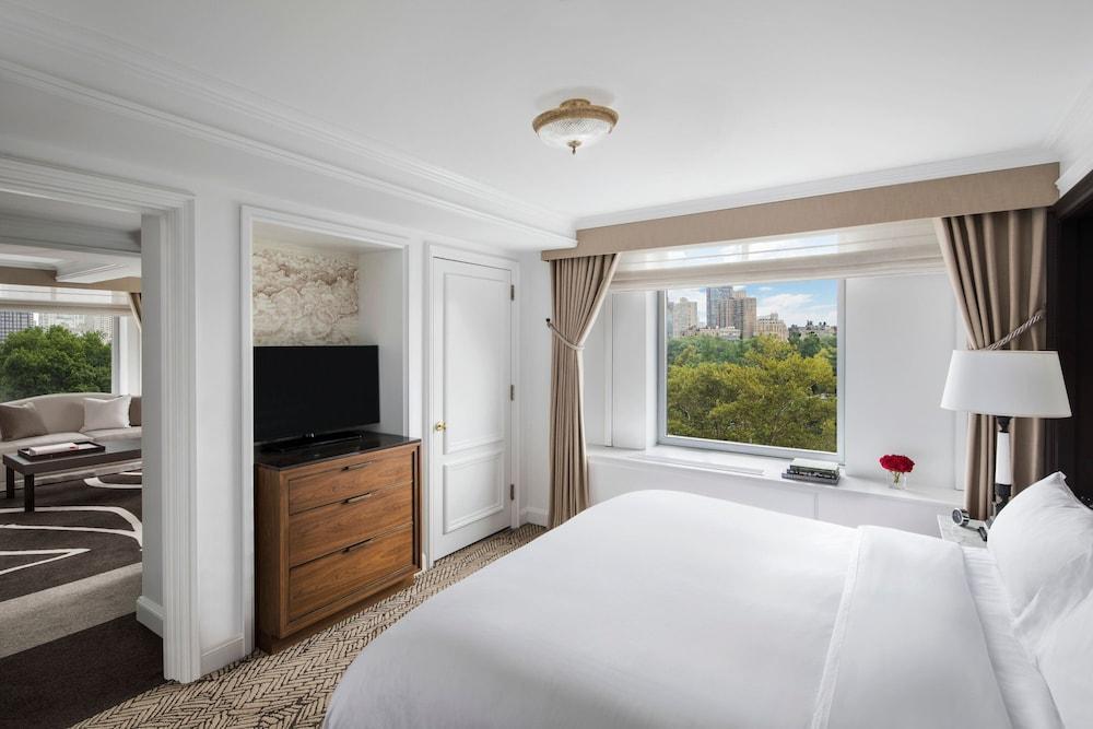 The Ritz-Carlton New York, Central Park Room Type - Suite, 1 Bedroom, Park View
