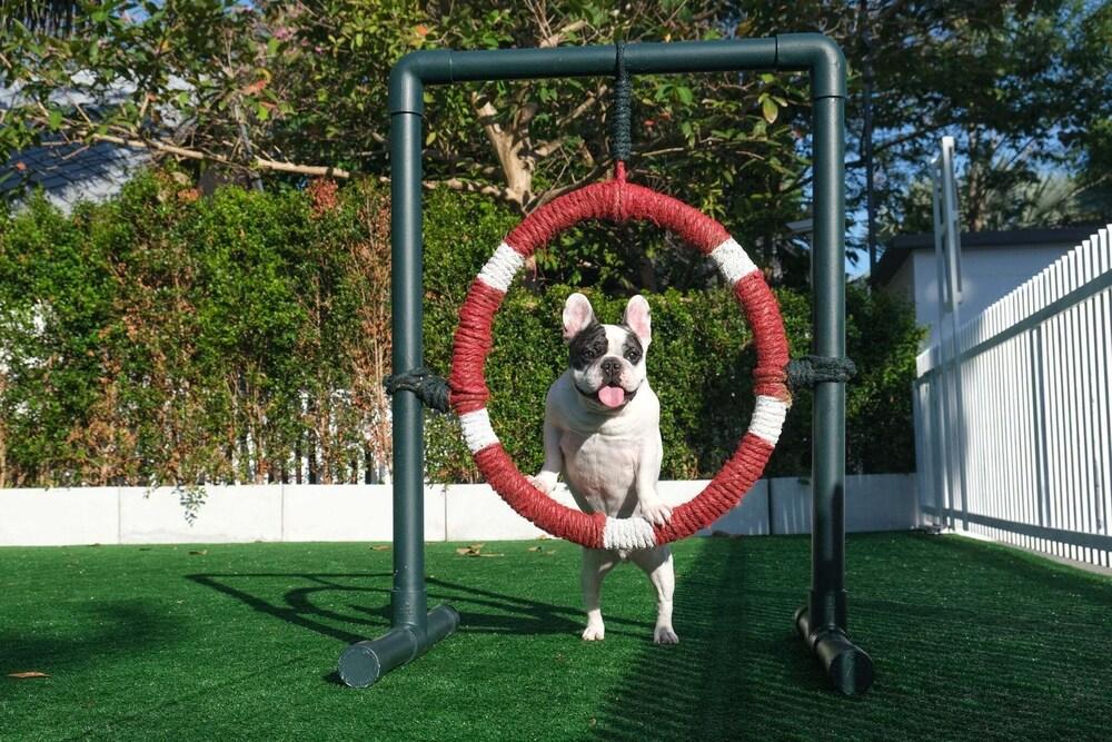 Long Beach Garden Hotel & Pavilions Room Type - Villa Dog Friendly