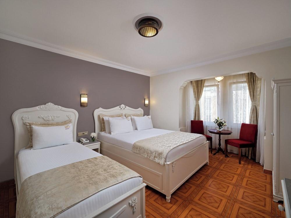 Alzer Hotel Special Class Room Type - City Triple Room