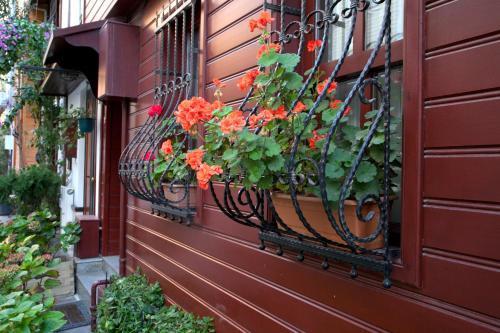 Sultanahmet Suites - Tap to explore photos