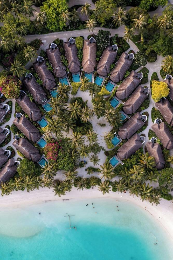Sheraton Maldives Full Moon Resort & Spa Room Type - Cottage, 1 King Bed (View)