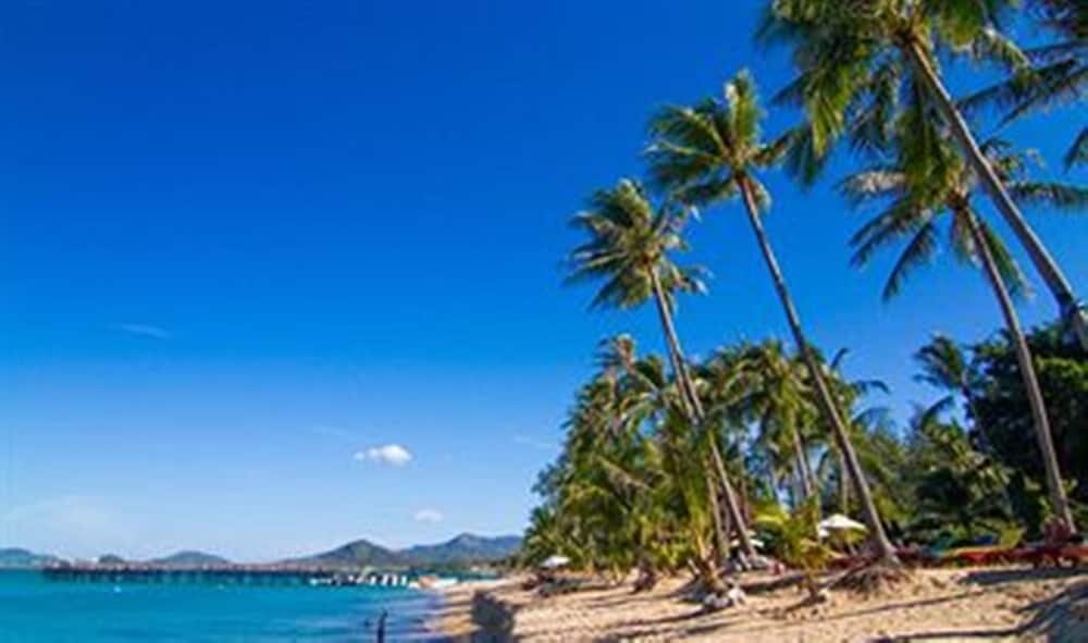 Coco Palm Beach Resort - Tap to explore photos