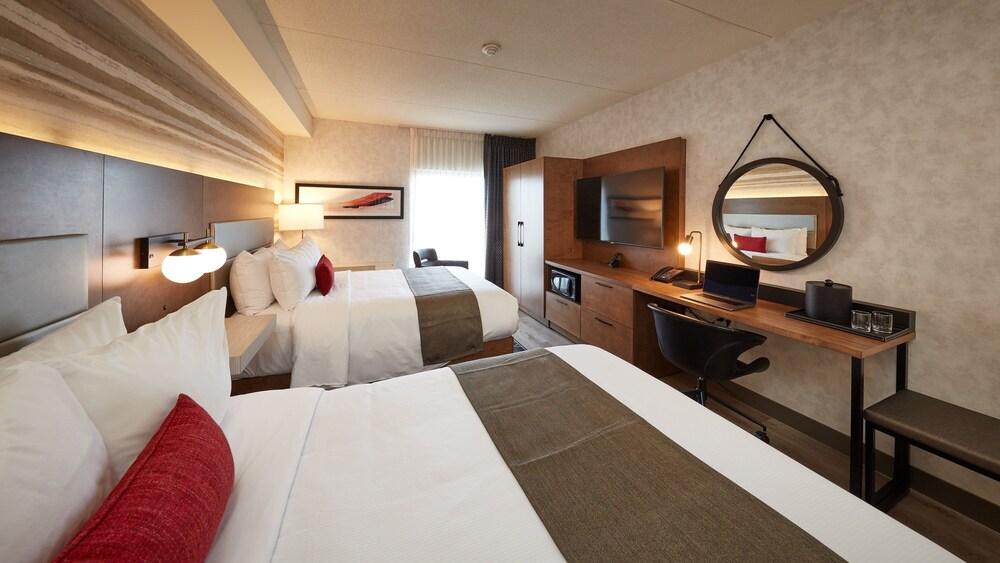 Stay Inn Room Type - Business Room, 2 Queen Beds