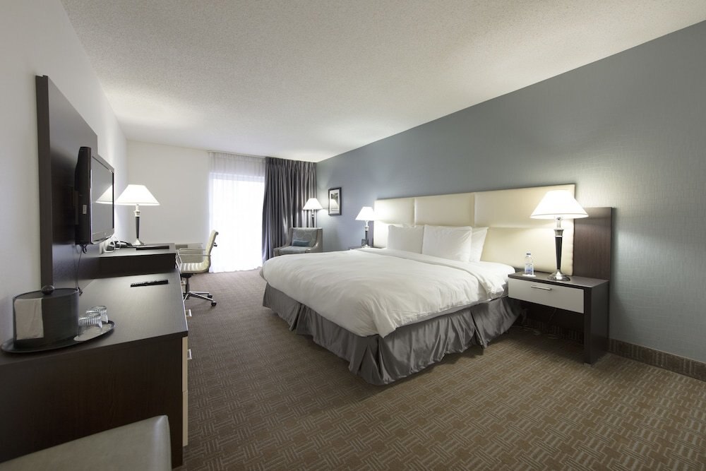 Toronto Don Valley Hotel and Suites Room Type - Deluxe Room, 1 King Bed