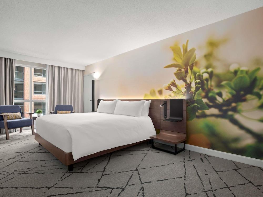 Novotel Toronto Centre Room Type - Superior Room, 1 King Bed