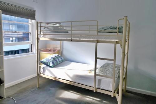 Pint On Punt Backpackers Room Type - Bed in 6-Bed Female Dormitory Room with Shared Bathroom